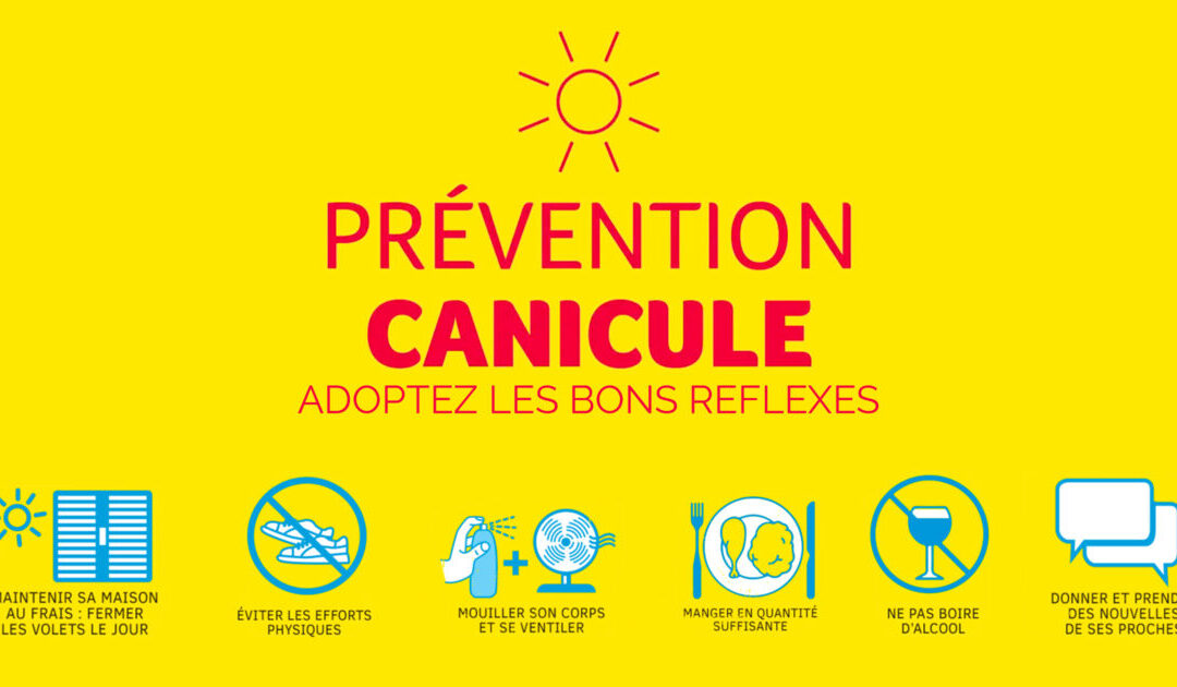 PREVENTION CANICULE