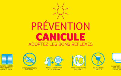 PREVENTION CANICULE